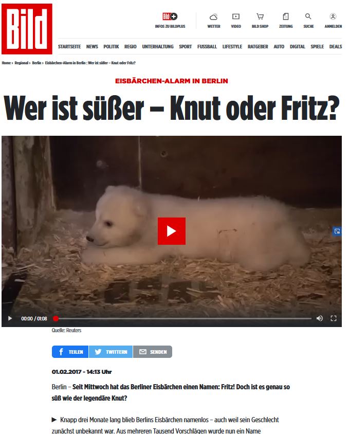 Klassiker der Verdrängung in den Massenmedien: Ein Eisbärenjunges im Zoo